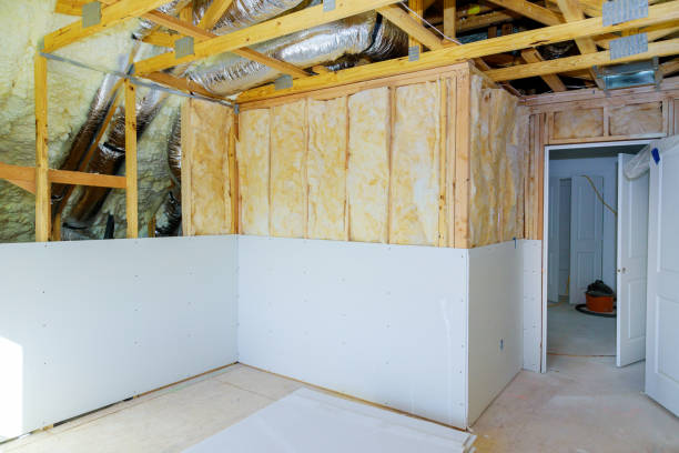 Insulation Contractors for Homes in Tracy, MN